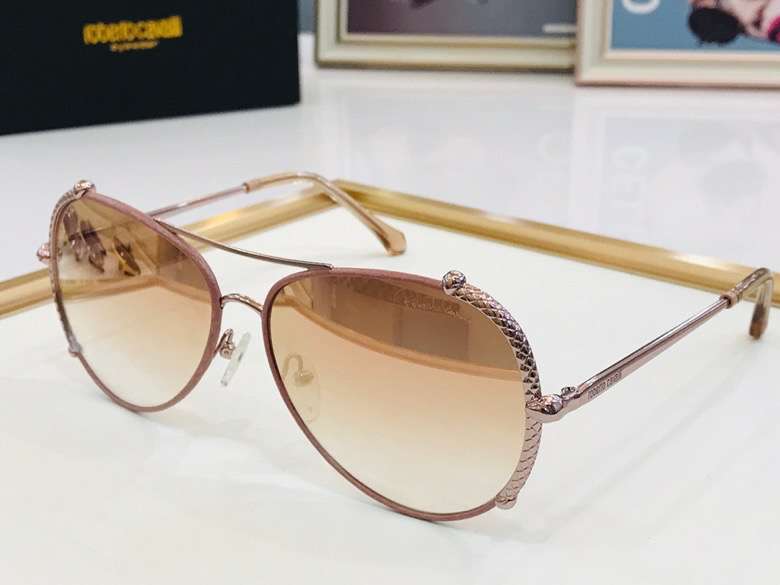 Picture of Roberto Cavalli Sunglasses _SKUfw49436728fw